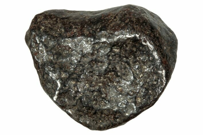 Gibeon Iron Meteorite ( g) - Namibia #334706
